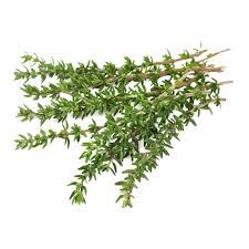 THYME