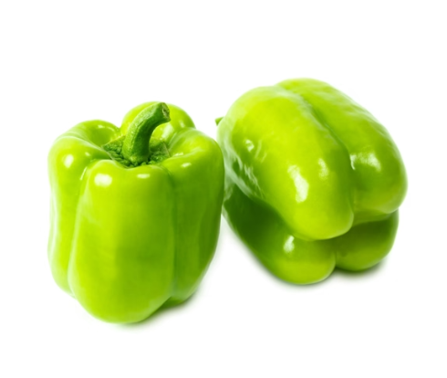 DOLMA
