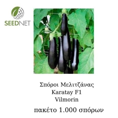 LONG - Karatay F1 - 1000 seeds