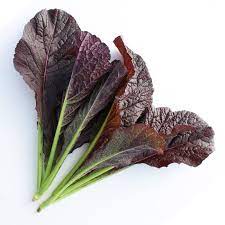 BABY LEAVES SEEDS - Garnet Giant - 250GR seeds