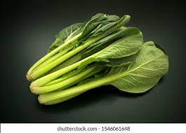 BABY LEAVES SEEDS - Komatsuna TSX-821( Tah-tsai) - 250GR seeds