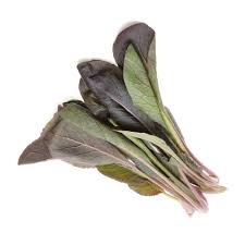 BABY LEAVES SEEDS - R6-553 Komatsuna - 250GR seeds