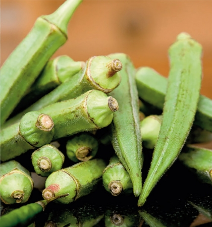 OKRA SEEDS - GARIBAR F1 - 100 seeds