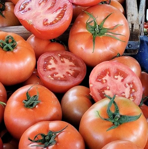BEEF - Sandoline Tomato Seeds Beef - 1000 seeds