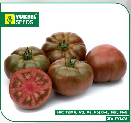 SPECIALTIES - Bucanero Tomato Seeds Specialties - 100 seeds