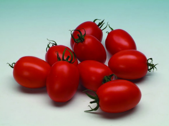 Eliseo F1 Tomato Seeds Cluster