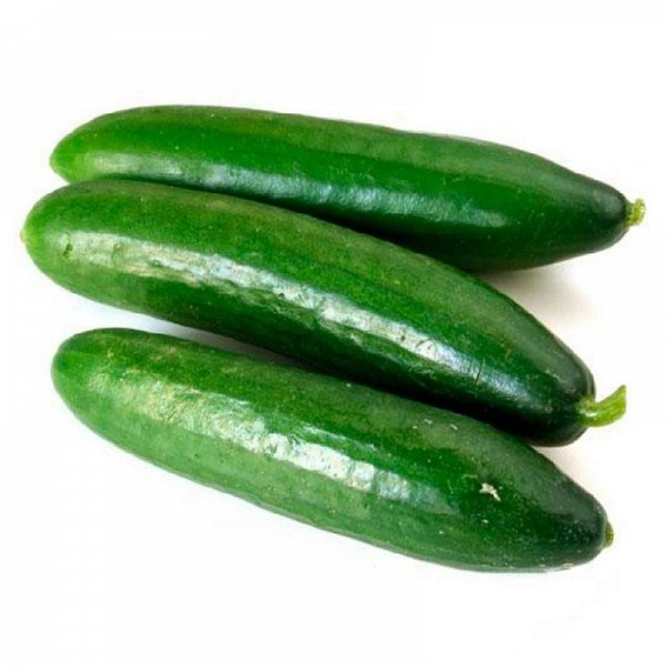 Mewa Cucumber Seeds Short