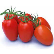 SPECIALTIES - Monile Tomato Seeds Specialties - 500 seeds