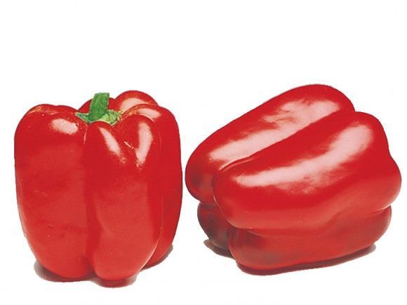 Denver F1 Pepper Seeds Blocky Green Red