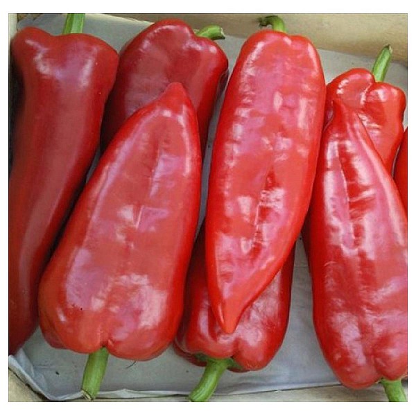 Kaptur Pepper Seeds Kapia Sweet