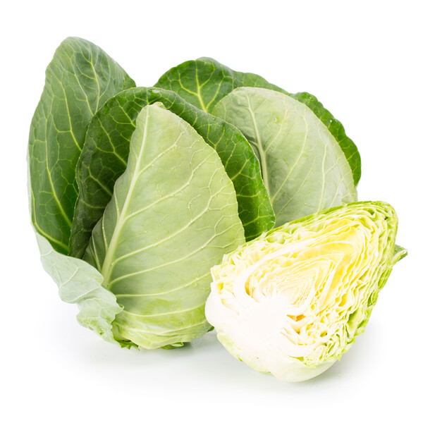 Tourima Cabbage Seeds White