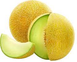 GALIA - Brisa F1 Melon Seeds Galia - 1000 seeds