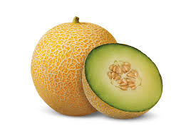 GALIA - Fortsa F1 Melon Seeds Galia - 500 seeds