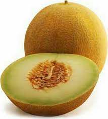 GALIA - Gharam F1 Melon Seeds Galia - 1000 seeds