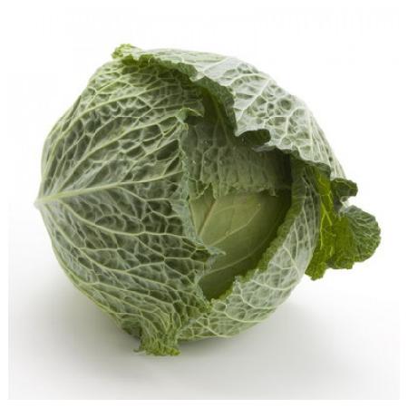 SAVOY CABBAGE - Morama Cabbage Seeds Savoy - 2500 seeds