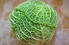 SAVOY CABBAGE - Othello F1 Cabbage Seeds Savoy - 2500 seeds