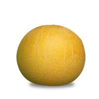 GALIA - Sabroson F1 Melon Seeeds Galia - 500 seeds