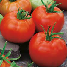 Belle Tomato Seeds Beef - 500 seeds