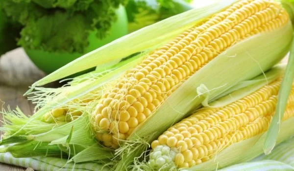 Take off Sweet Corn Seeds