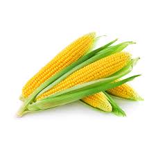 SWEETCORN SEEDS - Sweetcorn seeds GSS51999-5000 seeds - 5000 seeds