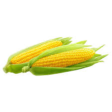 SWEETCORN SEEDS - Sweetcorn seeds SS3003-5000 seeds - 5000 seeds