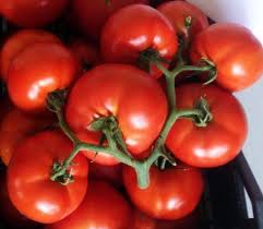 Varela Tomato Seeds Beef - 1000 seeds