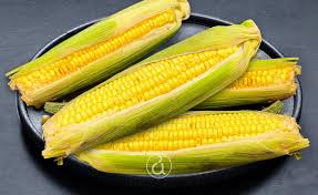 SWEETCORN SEEDS - Sweetcorn seeds GSS3071-5000 seeds - 5000 seeds