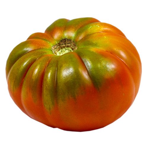 MARMANDE - Tomato seeds Maryposa-1000 seeds - 1000 seeds