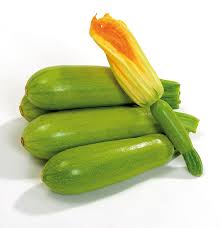 STANDARD - Zucchini seeds Riky-500 seeds - 500 seeds