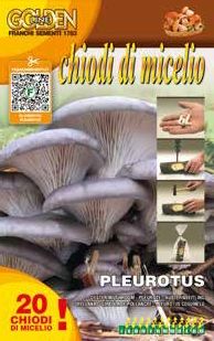 MYCELIUM MUSHROOM - Pleurotus ostreatus Mycelium Mushroom - 20 seeds seeds