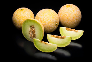 GALIA - Melon seeds Galia Fortiva-500 seeds - 500 seeds