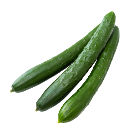 LONG - Dretos Cucumber Seeds 500 seeds - 500 seeds