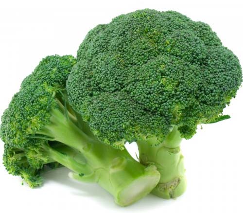 BROCCOLI SEEDS - Gongga Broccoli Seeds 2500 seeds - 2500 seeds