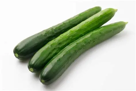 LONG - Ifestos Cucumber Seeds 500 seeds - 500 seeds