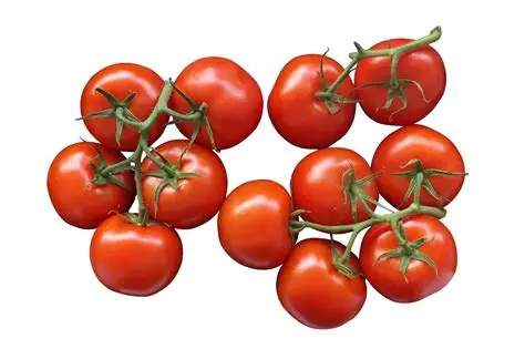 BEEF - Sinaloa Tomato Seeds 1000 seeds - 1000 seeds