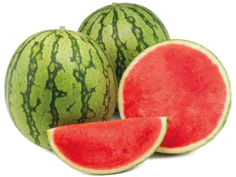 SEEDLESS WATERMELON - Sp7 Watermenlon Seeds 1000 seeds - 1000 seeds