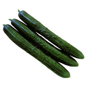 LONG - Valentin Cucumber Seeds 100 seeds - 500 seeds