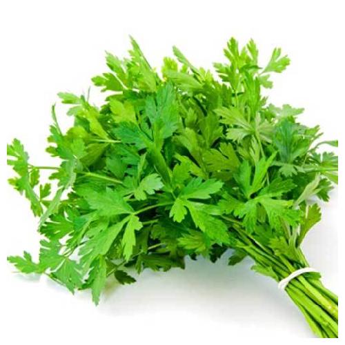 PARSLEY