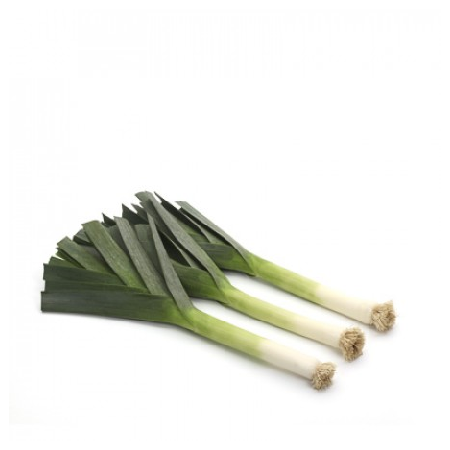 LEEK SEEDS - Matisse - 10000 seeds