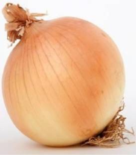 BULBS - MERANTO - 250000 seeds