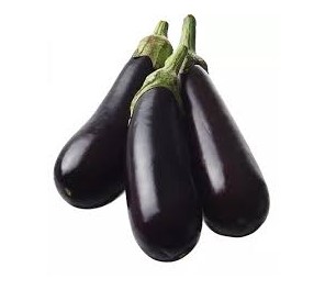 LONG - ROMANOV - 500 seeds