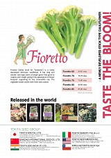 Fioretto 85 Cauliflower Seeds Standard
