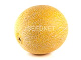 Armide F1 Melon Seeds Galia