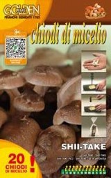 Shii-Take Mycellium Mushroom