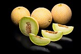 Melon seeds Galia Fortiva-500 seeds