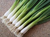 Entita Onion Seeds 100.000 seeds