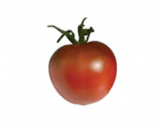 Paul Robson Tomato Seeds 1000 seeds