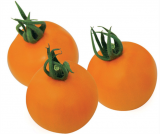 Apresa F1 Tomato Seeds 1000 seeds