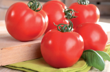 Garance F1 Tomato Seeds 1000 seeds