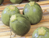 De Nice A Fruit Rond F1 Zucchini Seeds 250gr